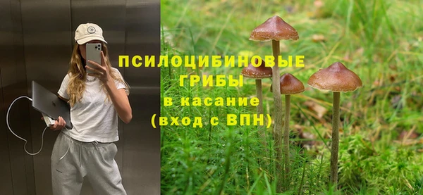 не бодяженный Липки