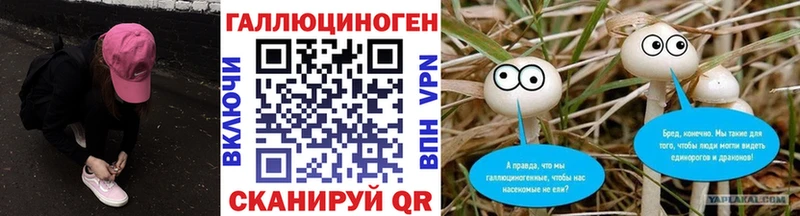 блэк спрут ссылки  купить наркотики цена  Динская  Псилоцибиновые грибы прущие грибы 